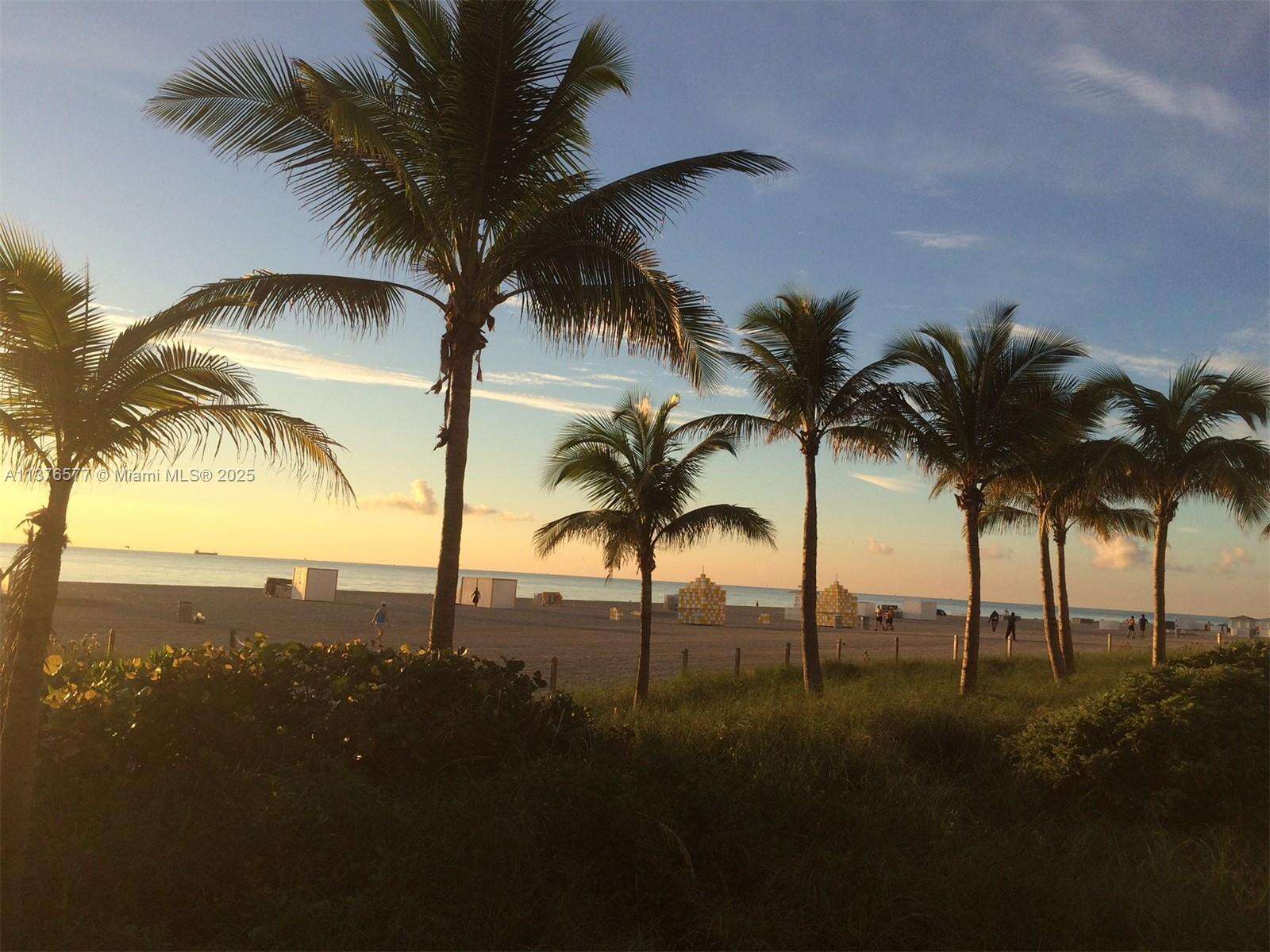 Unit 1244 For Rent Decoplage South Beach